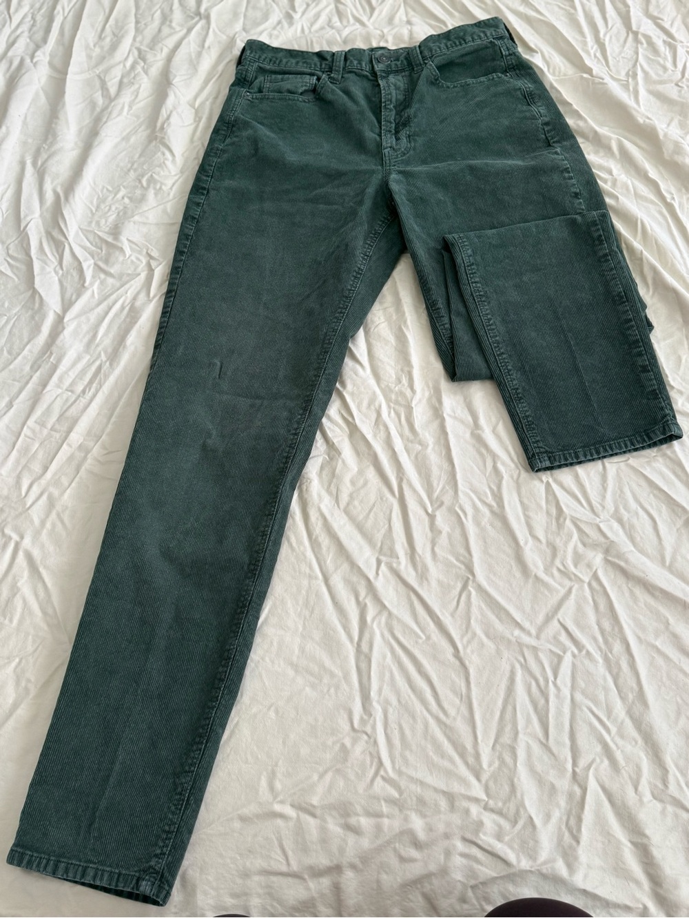 American eagle Dark Green Corduroy Pants